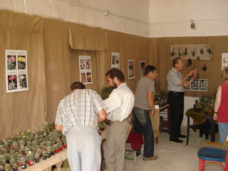 Expo cactuşi Oradea, 2008