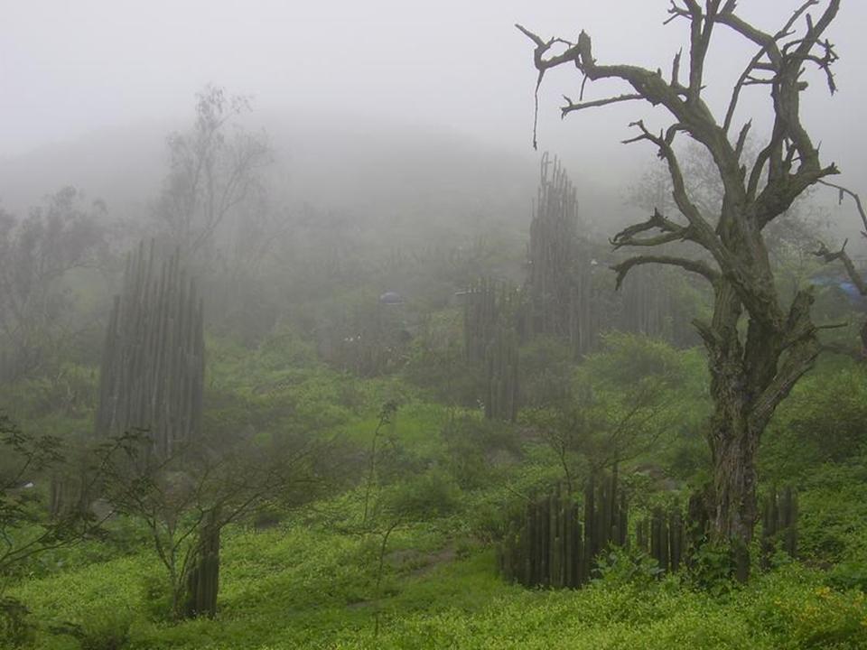 Kattints ide a teljes kép megtekintéséhez