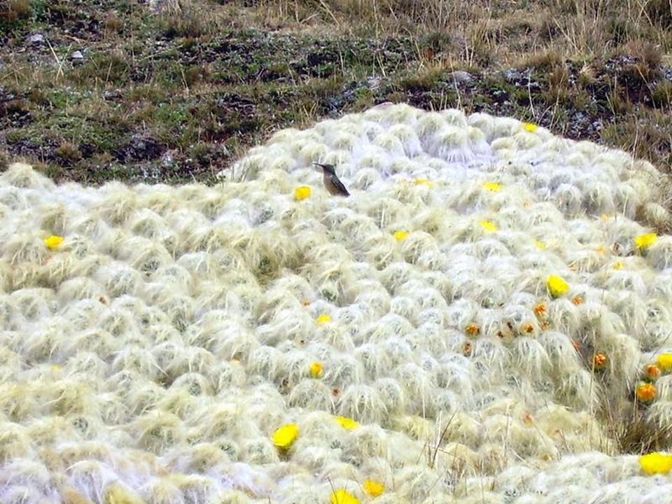 Kattints ide a teljes kép megtekintéséhez