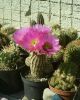 DSC00362_resize.JPG