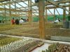 DSC01202_resize.jpg