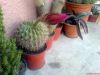 DSC01257.jpg