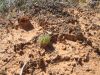 isla_de_margarita_080_resize.jpg