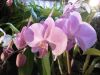DSC00852M.jpg