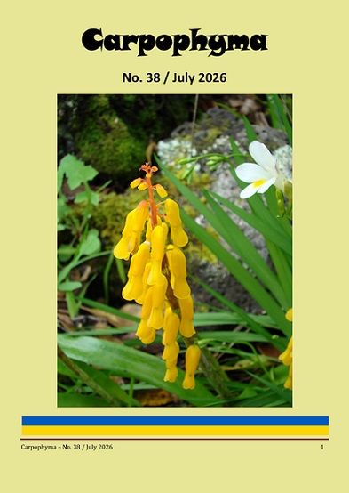 Carpophyma 38 - July 2026 - cover - small 3.jpg