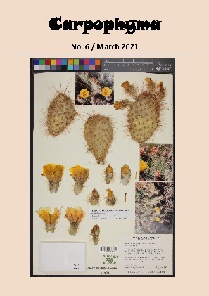 Carpophyma-6-March 2021 - cover small 2.jpg