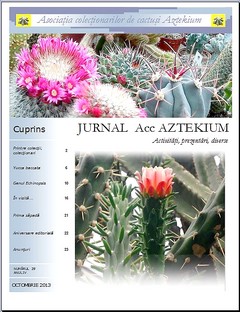 newsletter cactus
