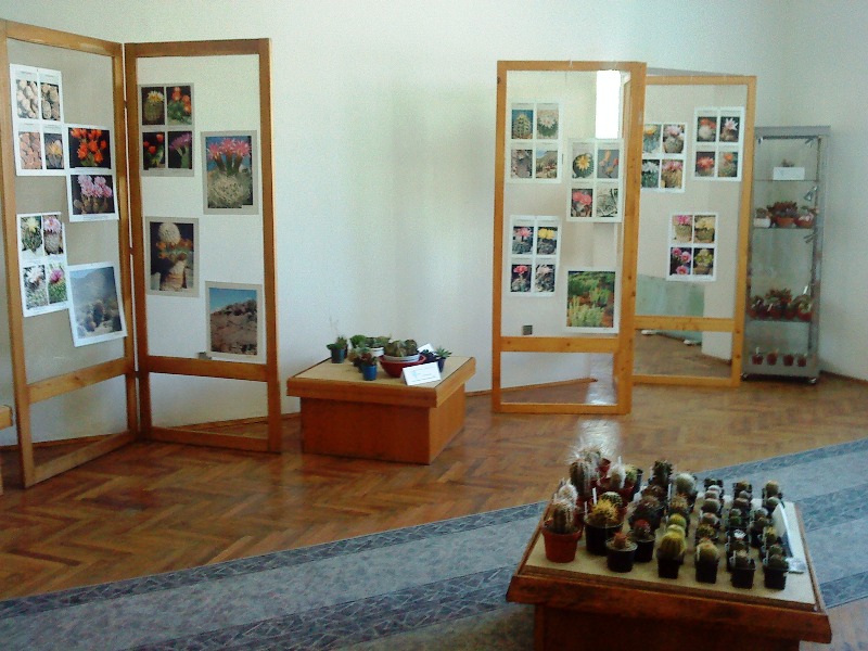 Clic pentru a vizualiza imaginea în dimensiunile reale